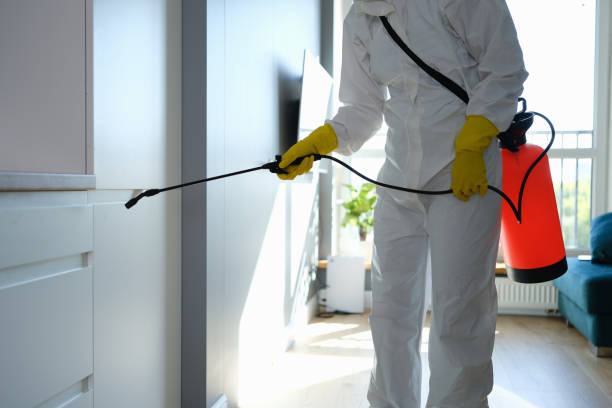 Best Emergency Mold Removal  in Fernley, NV