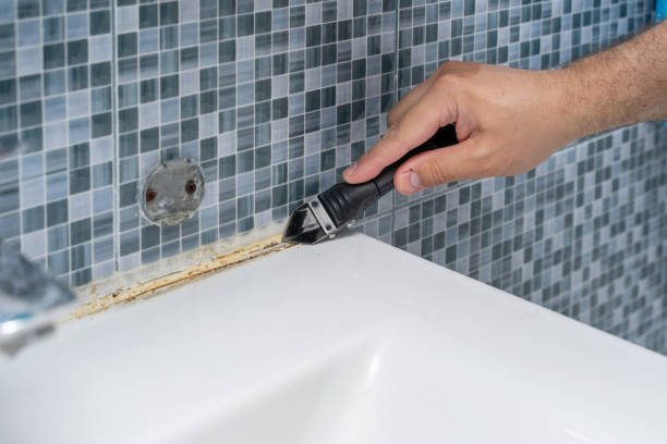 Office Mold Removal Services in Fernley, NV