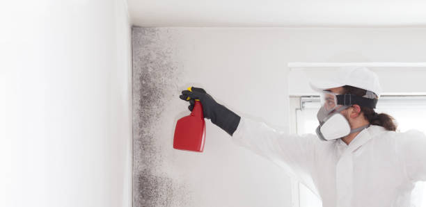 Best Mold Damage Repair  in Fernley, NV