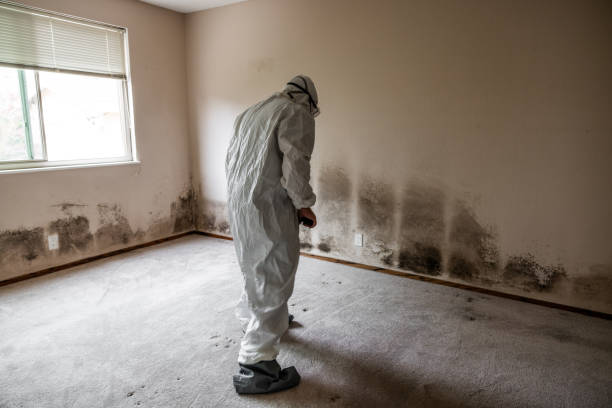 Best Mold Testing  in Fernley, NV